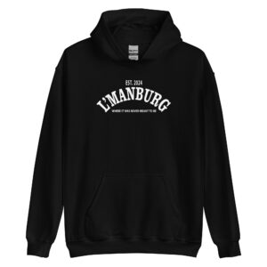 Where it was never meant to be Hoodie - Gift For Gamers - Unisex Hoodie